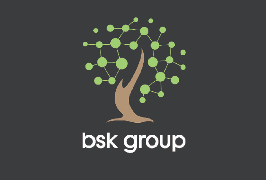 Image of Itechnologix's devlopement agency client BSK Group Business helping them with Digital marketing services.